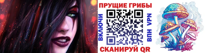 Галлюциногенные грибы мицелий  Купить  Весьегонск 